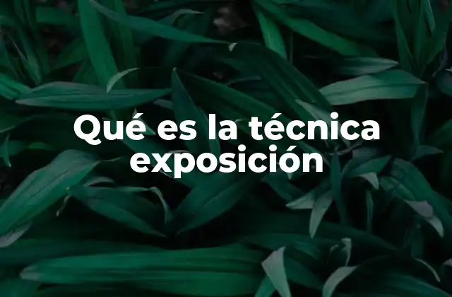 Qué es la Técnica Exposición