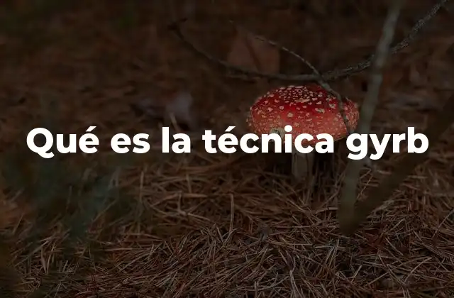 Qué es la Técnica Gyrb