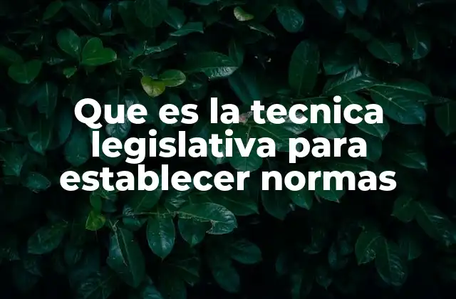 Que es la Tecnica Legislativa para Establecer Normas