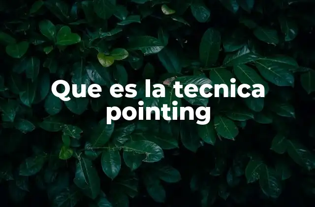 Que es la Tecnica Pointing