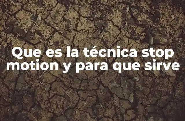 Que es la Técnica Stop Motion y para que Sirve 2 El arte detrás de la animación física