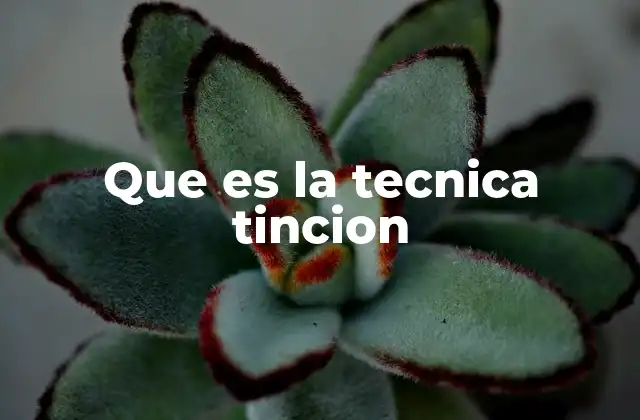 Que es la Tecnica Tincion