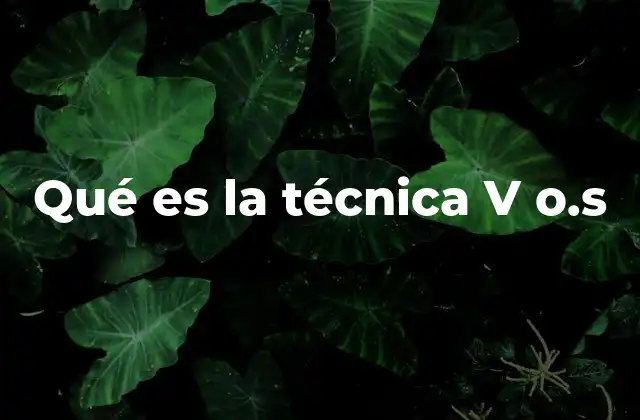 Qué es la Técnica V O.s