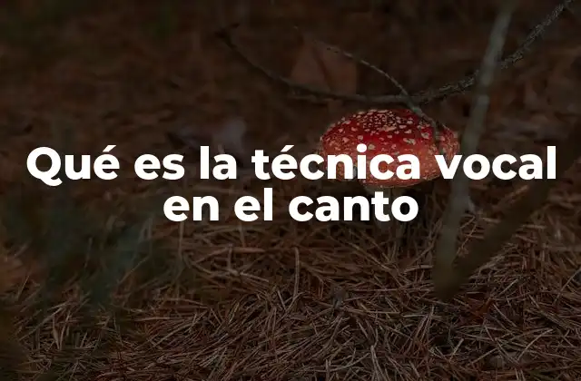 Qué es la Técnica Vocal en el Canto