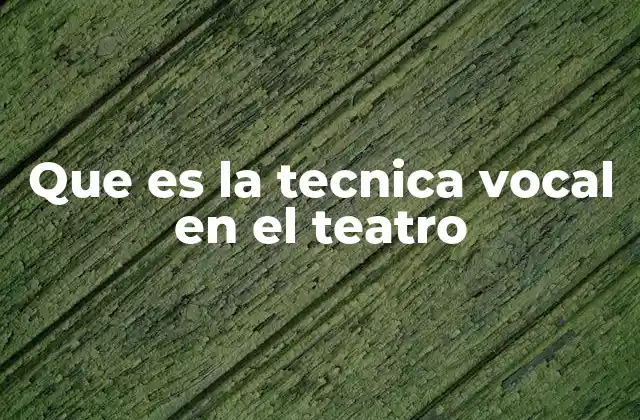 Que es la Tecnica Vocal en el Teatro