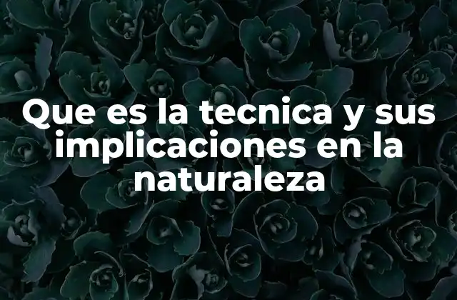 Que es la Tecnica y Sus Implicaciones en la Naturaleza