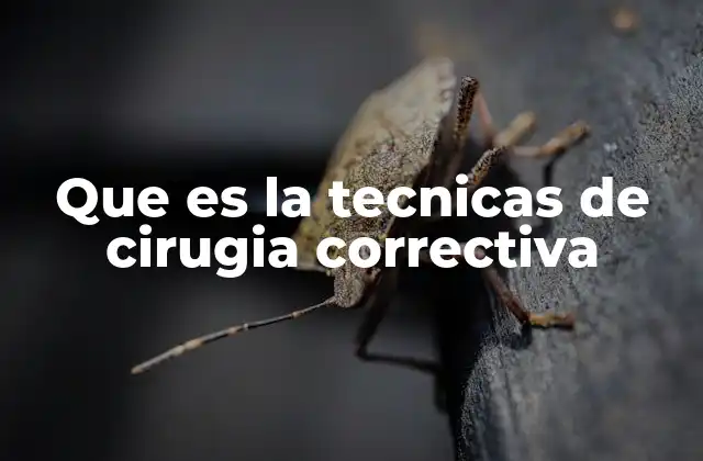 Que es la Tecnicas de Cirugia Correctiva