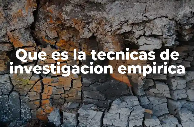 Que es la Tecnicas de Investigacion Empirica