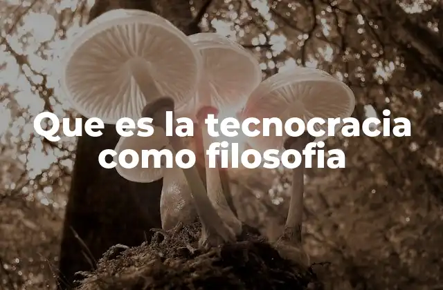 Que es la Tecnocracia como Filosofia