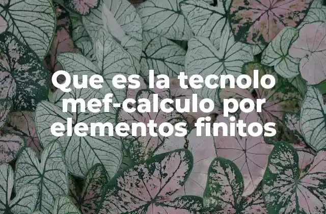 Que es la Tecnolo Mef-calculo por Elementos Finitos