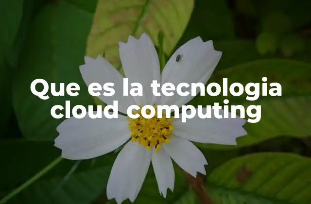 Que es la Tecnologia Cloud Computing
