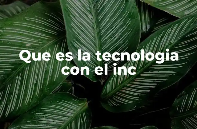 Que es la Tecnologia con el Inc