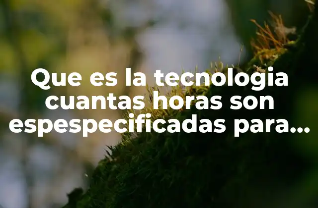 Que es la Tecnologia Cuantas Horas Son Espespecificadas para Adolecentes