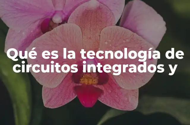 Qué es la Tecnología de Circuitos Integrados y