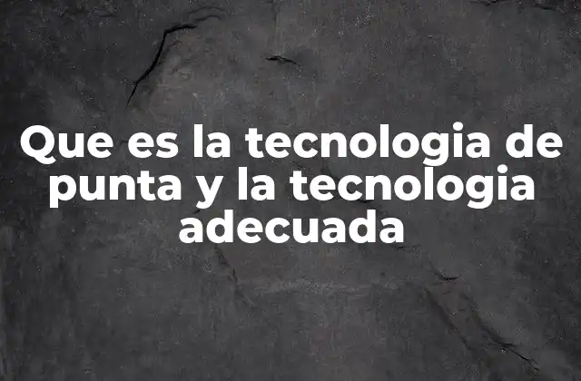 Que es la Tecnologia de Punta y la Tecnologia Adecuada