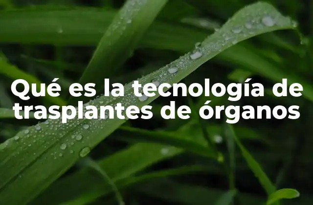 Qué es la Tecnología de Trasplantes de Órganos