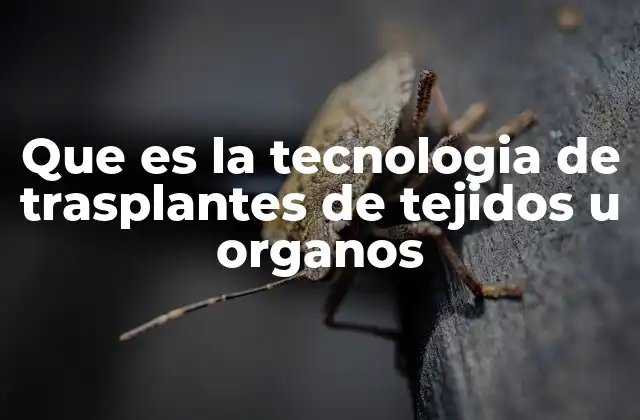 Que es la Tecnologia de Trasplantes de Tejidos u Organos