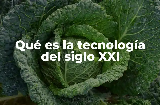 Qué es la Tecnología Del Siglo Xxi