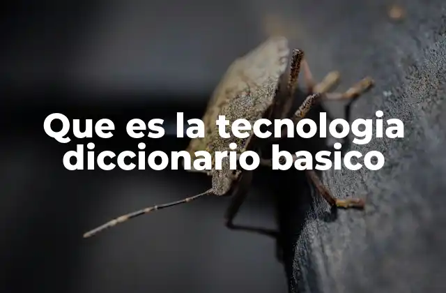 Que es la Tecnologia Diccionario Basico 2 La importancia de entender la tecnología en el día a día