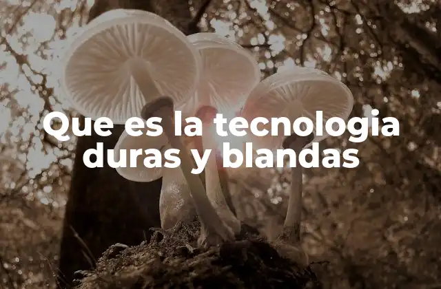 Que es la Tecnologia Duras y Blandas