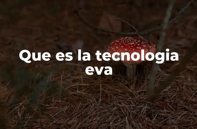 Que es la Tecnologia Eva
