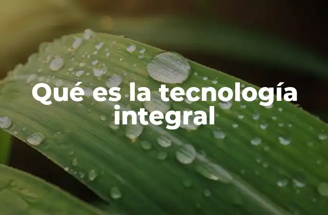 Qué es la Tecnología Integral