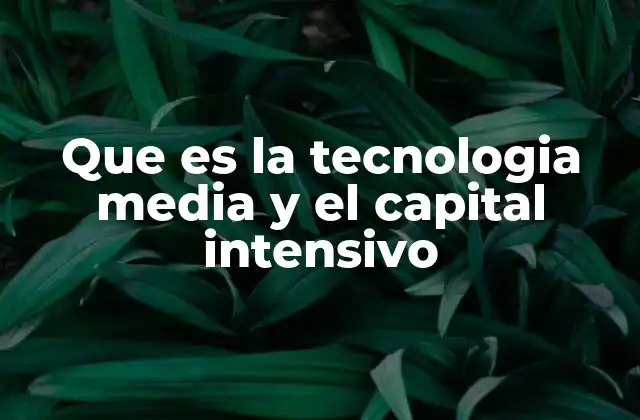 Que es la Tecnologia Media y el Capital Intensivo