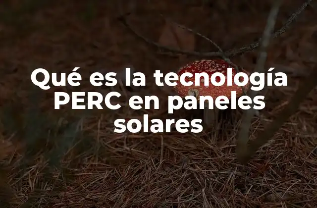 Qué es la Tecnología Perc en Paneles Solares