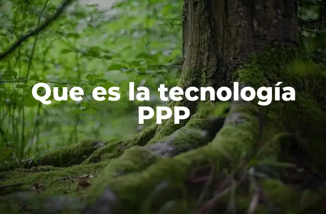 Que es la Tecnología Ppp
