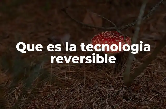 Que es la Tecnologia Reversible