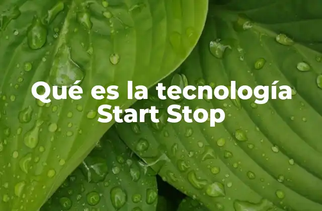 Qué es la Tecnología Start Stop