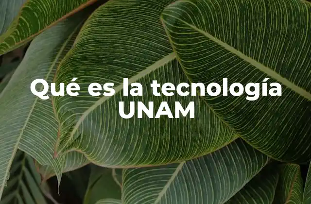 Qué es la Tecnología Unam