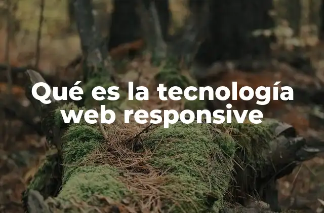 Qué es la Tecnología Web Responsive