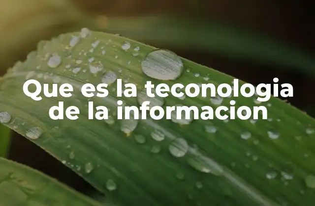 Que es la Teconologia de la Informacion