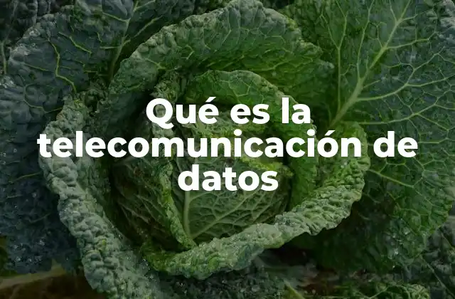 Qué es la Telecomunicación de Datos
