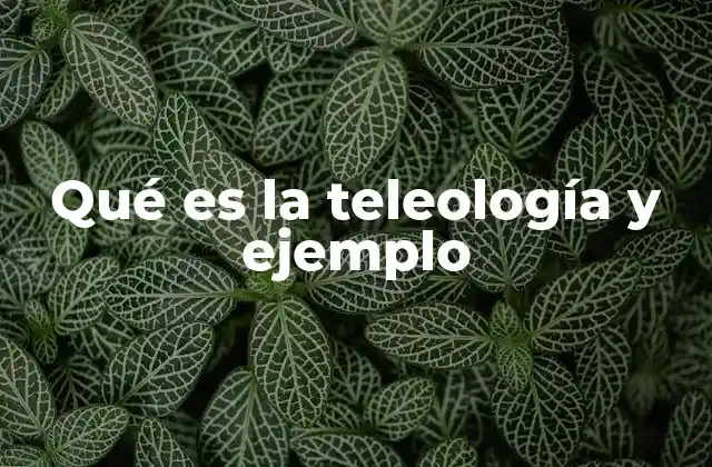 Qué es la Teleología y Ejemplo