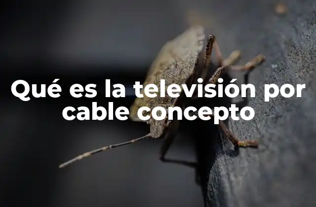 Qué es la Televisión por Cable Concepto