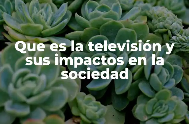 Que es la Televisión y Sus Impactos en la Sociedad