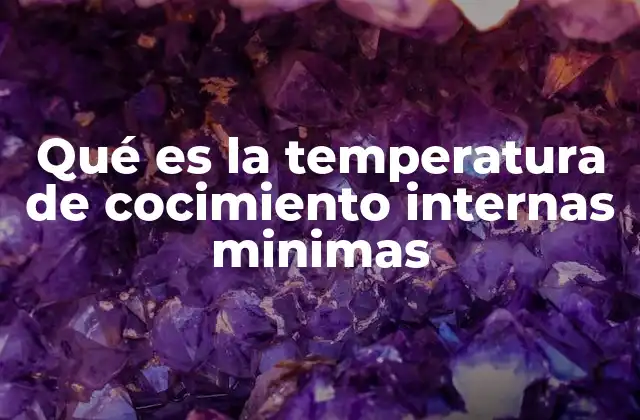Qué es la Temperatura de Cocimiento Internas Minimas
