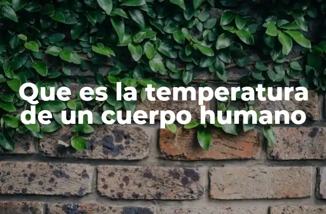 Que es la Temperatura de un Cuerpo Humano 2 El papel de la temperatura corporal en la salud general