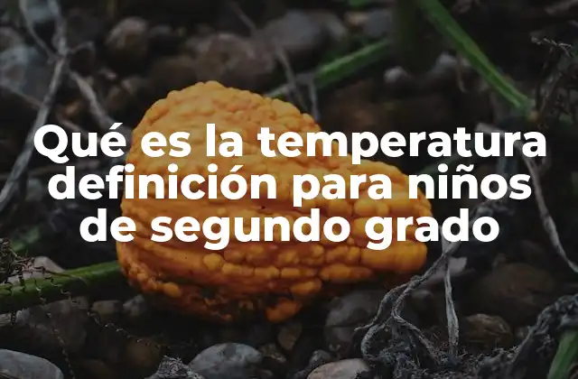 Qué es la Temperatura Definición para Niños de Segundo Grado