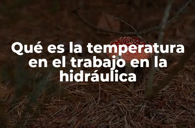 La importancia del equilibrio térmico en los sistemas hidráulicos