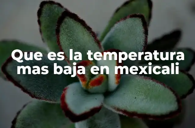 Que es la Temperatura mas Baja en Mexicali