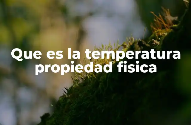Que es la Temperatura Propiedad Fisica