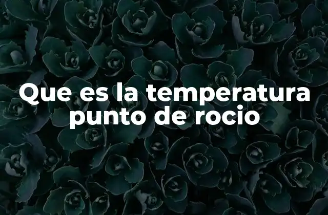 Que es la Temperatura Punto de Rocio