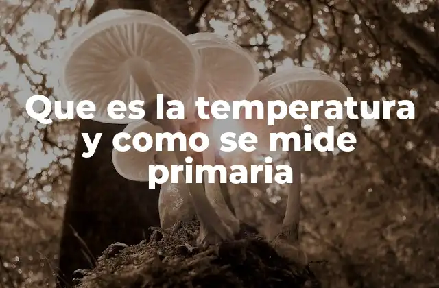 Que es la Temperatura y como Se Mide Primaria 2 Cómo se percibe la temperatura en la vida cotidiana