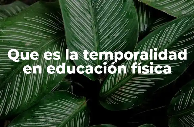 Que es la Temporalidad en Educación Física