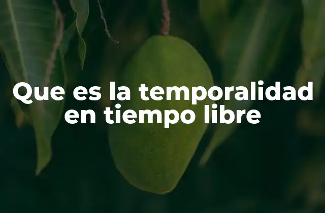 Que es la Temporalidad en Tiempo Libre