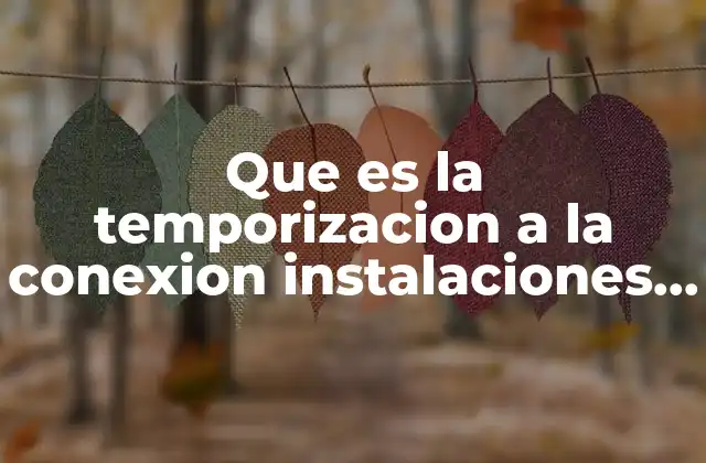 Que es la Temporizacion a la Conexion Instalaciones Electricas