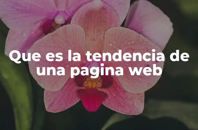 Que es la Tendencia de una Pagina Web